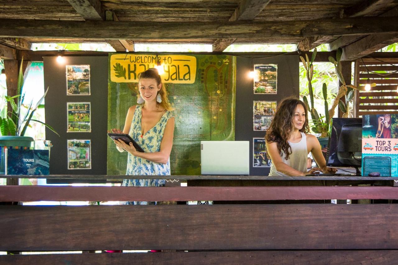 The Jungle Lodge At Kalu Yala Panama City Exterior photo